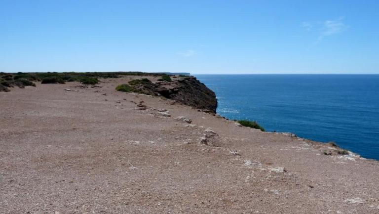 Cliff Lookout